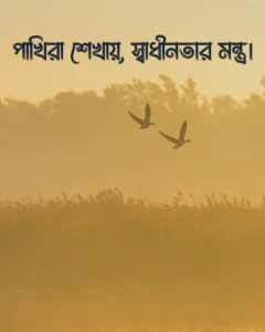 পাখি নিয়ে ক্যাপশন সাথে ছবি ৩