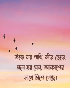 পাখি নিয়ে স্ট্যাটাস সাথে ছবি