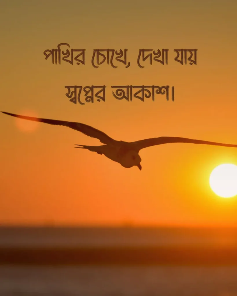 পাখি নিয়ে স্ট্যাটাস সাথে ছবি ২