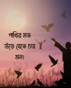 পাখি নিয়ে স্ট্যাটাস সাথে ছবি ৩