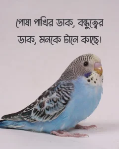 পোষা পাখি নিয়ে ক্যাপশন সাথে ছবি ১