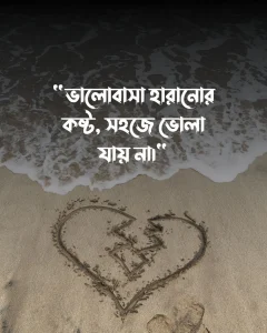 প্রাক্তন নিয়ে স্ট্যাটাস ও পিক 3 (1)