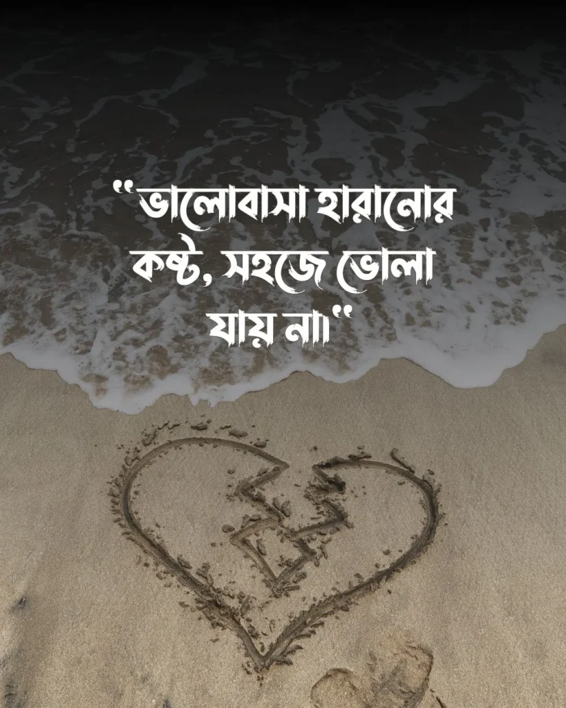 প্রাক্তন নিয়ে স্ট্যাটাস ও পিক 3 (1)