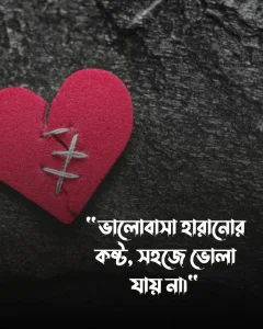 প্রাক্তন নিয়ে স্ট্যাটাস ও পিক 3