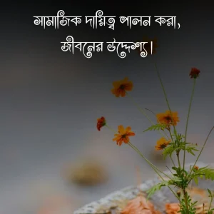 ফেসবুক স্ট্যাটাস বাংলা ও ছবি 4
