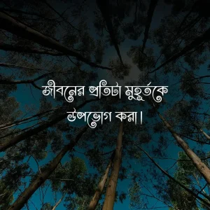 ফেসবুক স্ট্যাটাস বাংলা ও ছবি 5