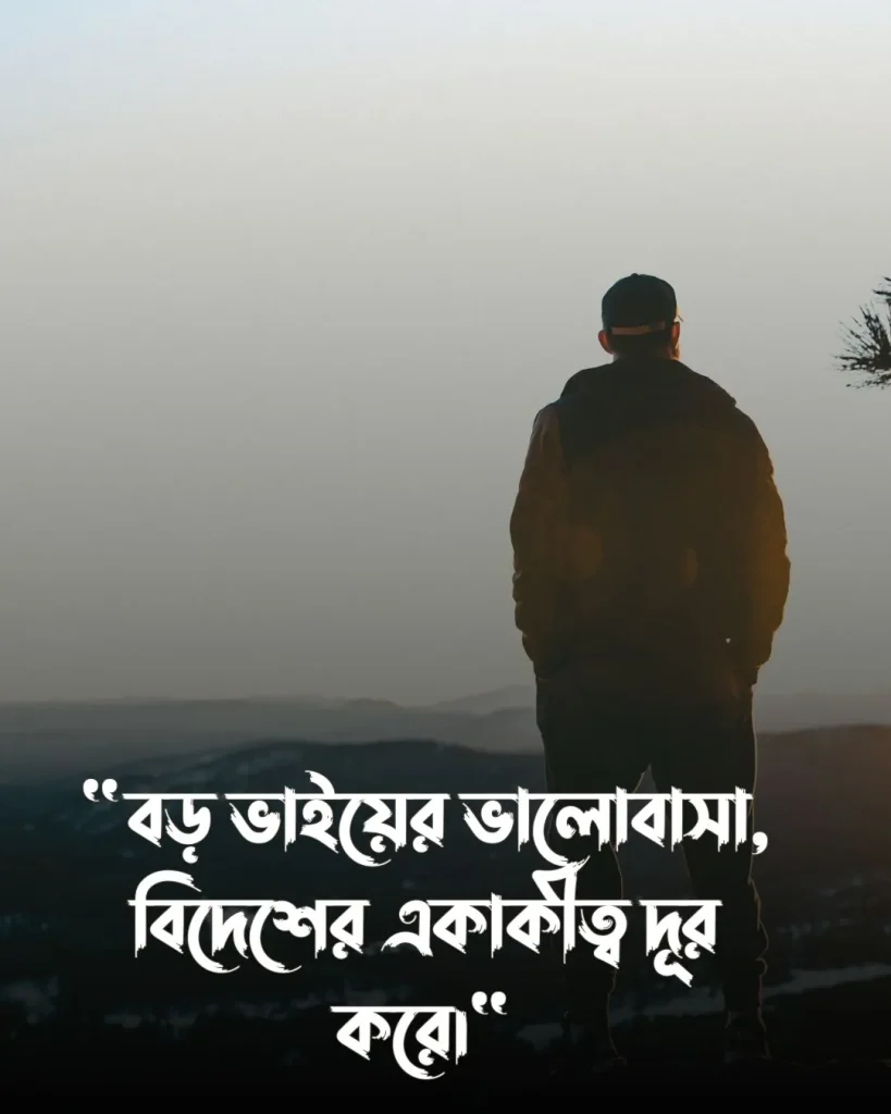 বড় ভাইকে নিয়ে স্ট্যাটাস বিদেশ যাওয়ার ও পিক