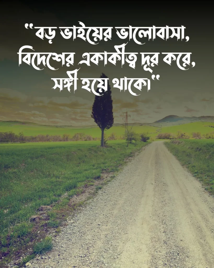 বড় ভাইকে নিয়ে স্ট্যাটাস বিদেশ যাওয়ার ও পিক (2)