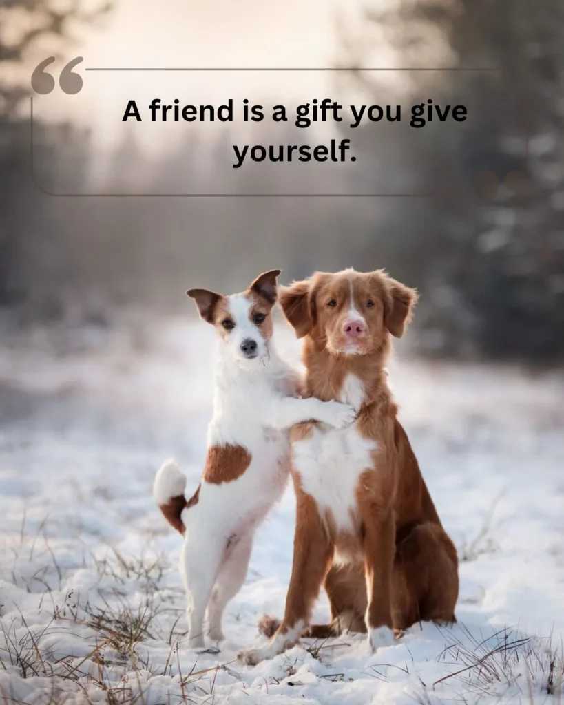 A friend is a gift you give yourself.