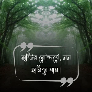 বাংলা শর্ট ক্যাপশন ও ছবি 8