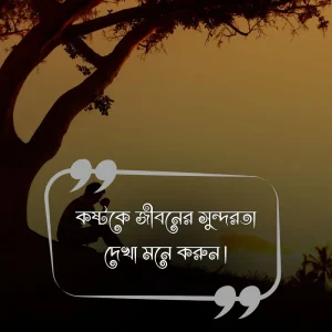 ২৩. কষ্টকে জীবনের সুন্দরতা দেখা মনে করুন।