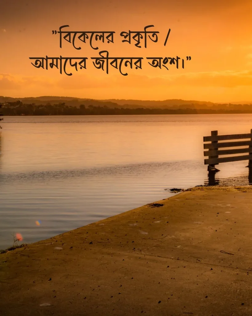 বিকেলের প্রকৃতি নিয়ে ক্যাপশন ও ছবি 1