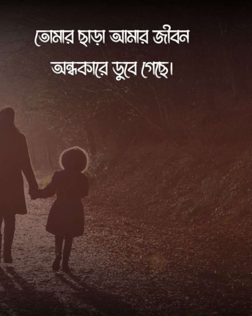 মাকে নিয়ে কষ্টের কিছু কথা ও ছবি (1)