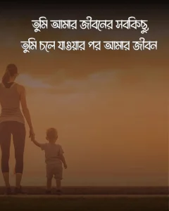 মাকে নিয়ে কষ্টের কিছু কথা ও ছবি (3)