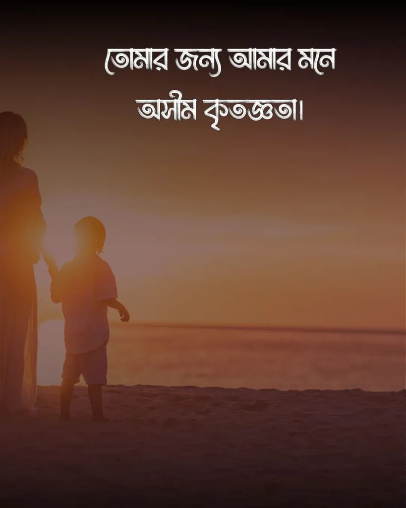 মাকে মিস করা নিয়ে স্ট্যাটাস ও ছবি (2)