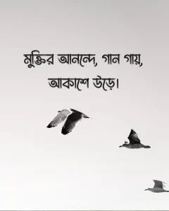 মুক্ত পাখি নিয়ে ক্যাপশন সাথে ছবি ১