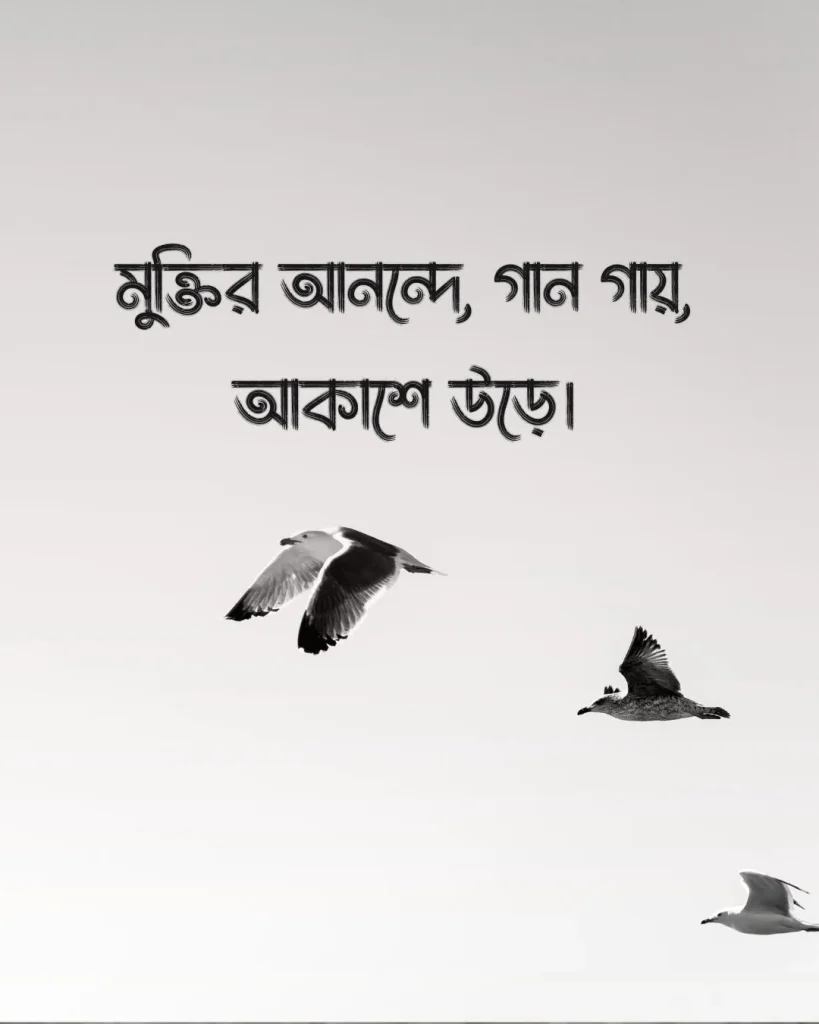 মুক্ত পাখি নিয়ে ক্যাপশন সাথে ছবি ১