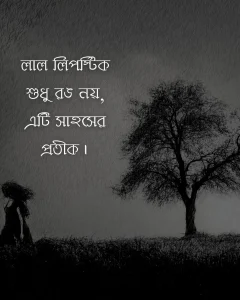 মেয়েদের অ্যাটিটিউড স্ট্যাটাস ও ছবি ২