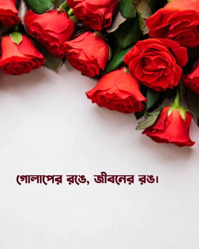 লাল গোলাপ নিয়ে কিছু ক্যাপশন ছবি 3