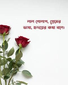 লাল গোলাপ নিয়ে কিছু ক্যাপশন ছবি ১