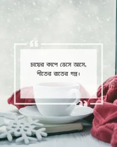 শীতের রাতে চা নিয়ে ক্যাপশন picture