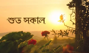 শুভ সকাল মেসেজ সাথে সুন্দর একটি শুভ সকাল লেখা