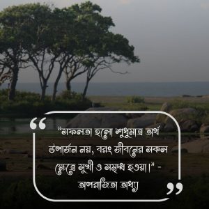 সফলতা নিয়ে উক্তি-