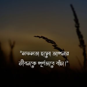 সফলতা নিয়ে ক্যাপশন (2)