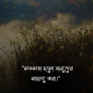 সফলতা নিয়ে স্ট্যাটাস (1)