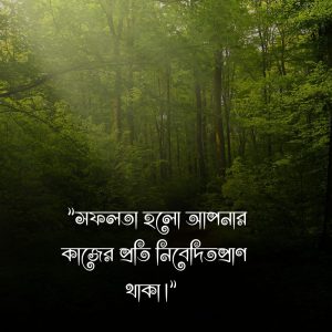সফলতা নিয়ে স্ট্যাটাস (2)