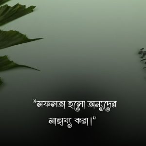 https://captionall.com/wp-content/uploads/2024/02/সফলতা-নিয়ে-স্ট্যাটাস-3.jpg