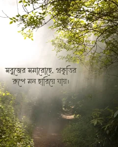 সবুজ প্রকৃতি নিয়ে ক্যাপশন ও ছবি