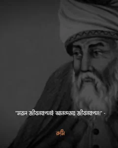 সাদামাটা জীবন নিয়ে উক্তি- ৪৬. সরল জীবনযাপনই আনন্দময় জীবনযাপন। - রুমি