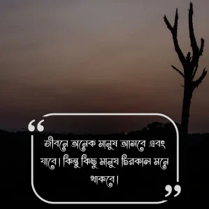 সুন্দর জীবন নিয়ে স্ট্যাটাস (1)