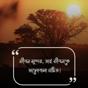 সুন্দর জীবন নিয়ে স্ট্যাটাস (4)