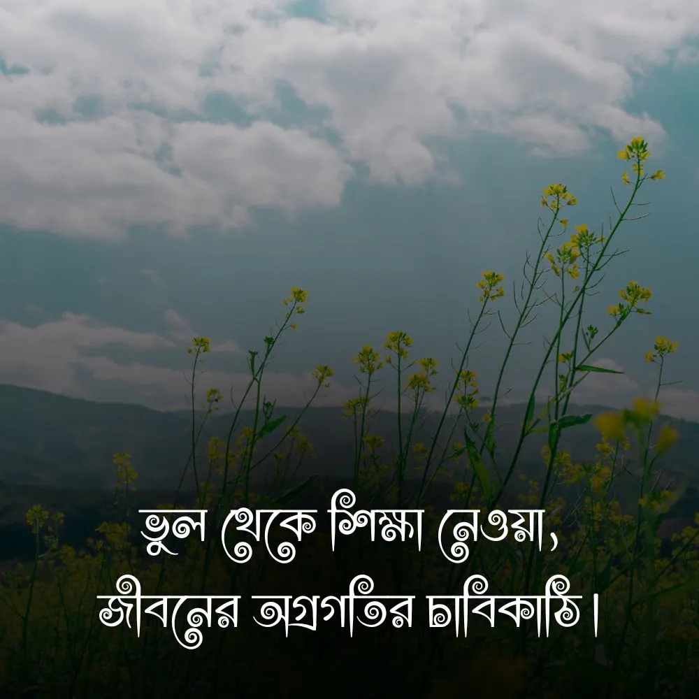 স্টাইলিশ ফেসবুক স্ট্যাটাস ও ছবি 1