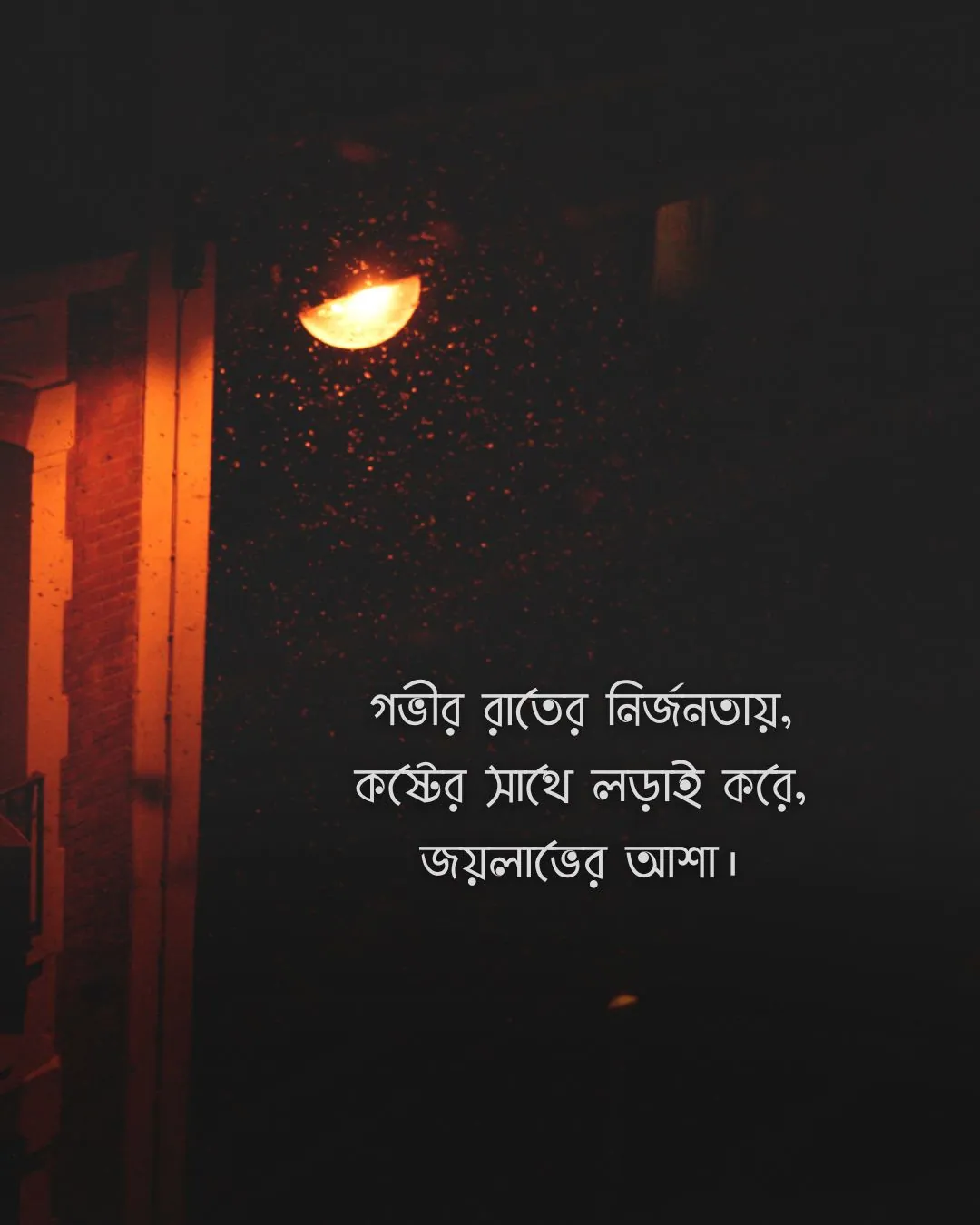 গভীর রাতের নির্জনতায়, কষ্টের সাথে লড়াই করে - sadness pic bangla