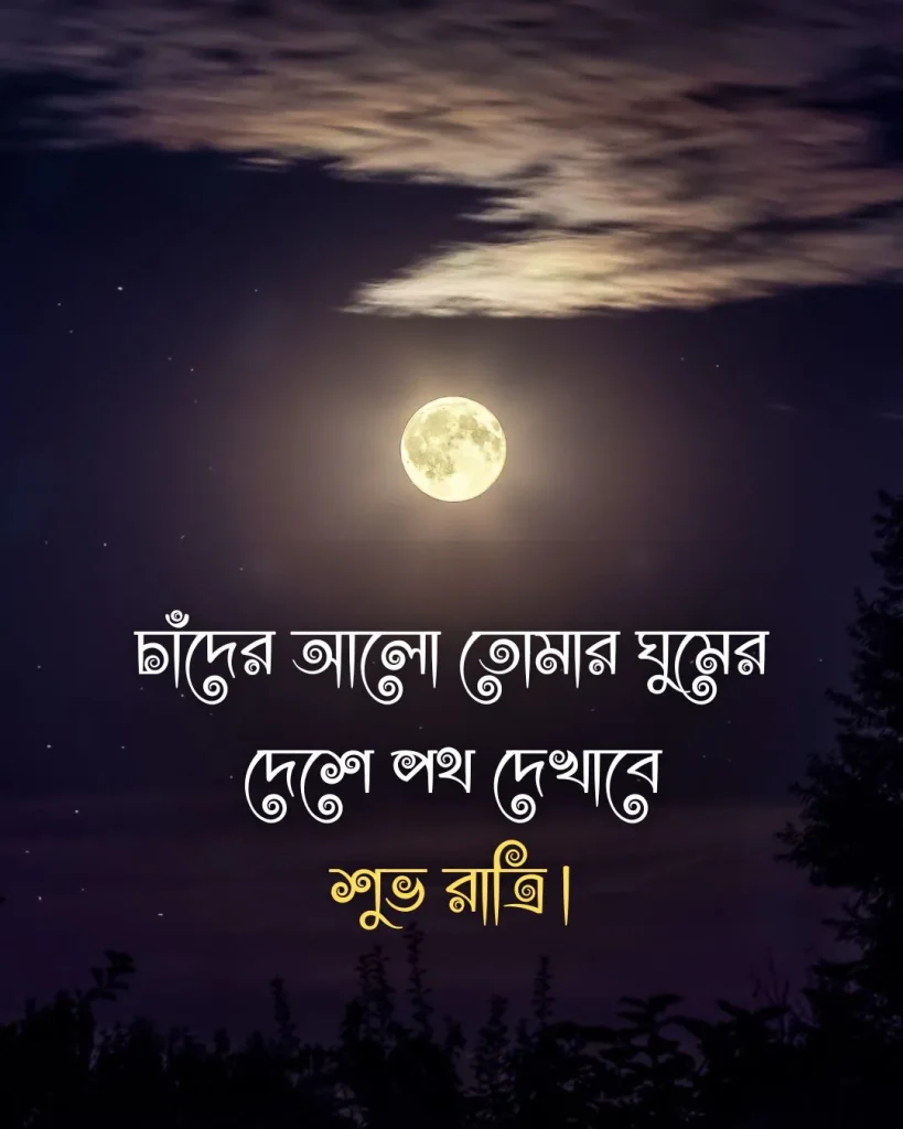 Good night in bengali - চাঁদের আলো তোমার ঘুমের দেশে পথ দেখাবে শুভ রাত্রি।