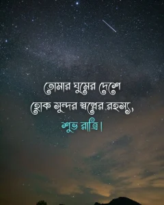 Good night in bengali - তোমার ঘুমের দেশে হোক সুন্দর স্বপ্নের রহস্য, শুভ রাত্রি।