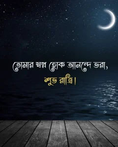 Good night in bengali - তোমার স্বপ্ন হোক আনন্দে ভরা, শুভ রাত্রি