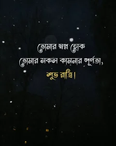 Good night in bengali - তোমার স্বপ্ন হোক তোমার সকল কামনার পূর্ণতা, শুভ রাত্রি।