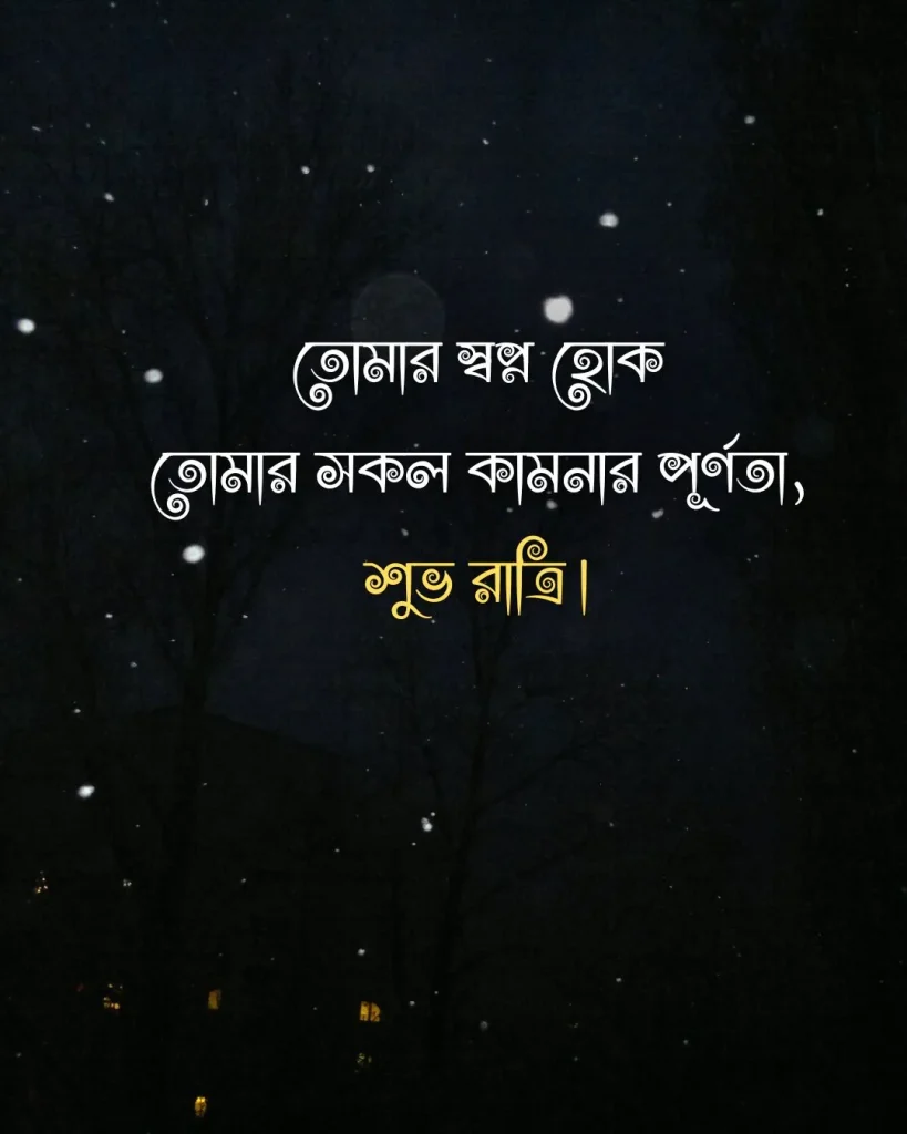 Good night in bengali - তোমার স্বপ্ন হোক তোমার সকল কামনার পূর্ণতা, শুভ রাত্রি।