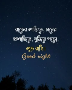 Good night in bengali - রাতের শান্তিতে, মনের প্রশান্তিতে, ঘুমিয়ে পড়ো, শুভ রাত্রি