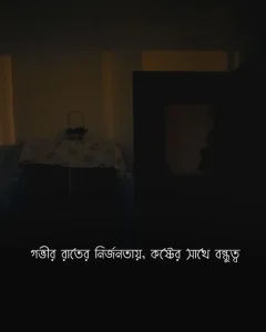 গভীর রাতের নির্জনতায় কষ্টের সাথে বন্ধুত্ব sadness pic bangla