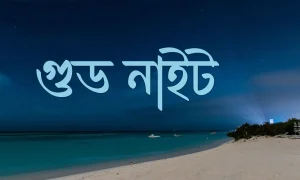 গুড নাইট ছবি-পিক (1)
