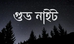 গুড নাইট ছবি-পিক 2
