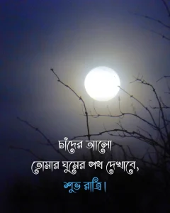 গুড নাইট মেসেজ - চাঁদের আলো তোমার ঘুমের পথ দেখাবে, শুভ রাত্রি।