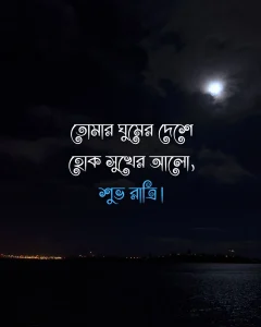 গুড নাইট মেসেজ - তোমার ঘুমের দেশে হোক সুখের আলো, শুভ রাত্রি।