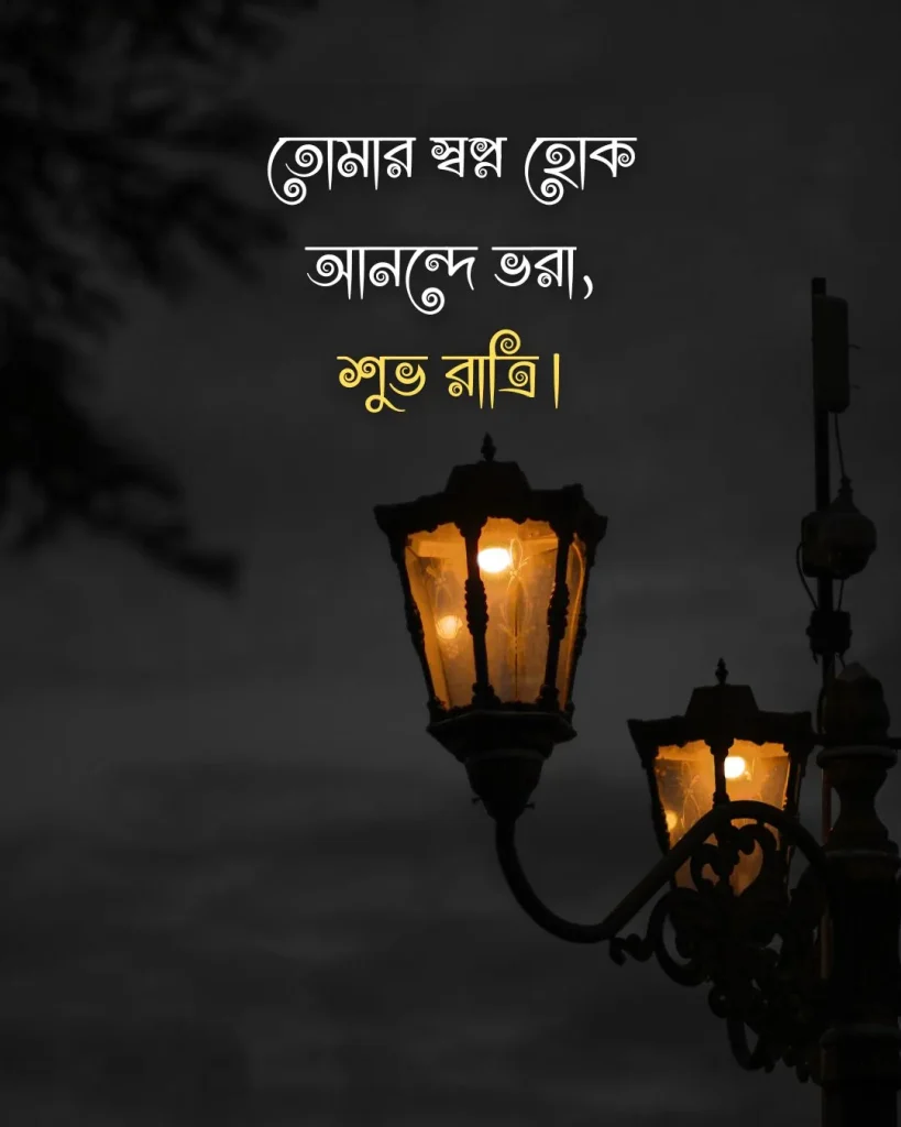 গুড নাইট মেসেজ - তোমার স্বপ্ন হোক আনন্দে ভরা, শুভ রাত্রি।