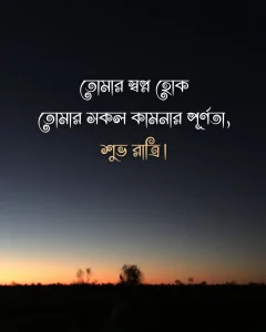গুড নাইট মেসেজ - তোমার স্বপ্ন হোক তোমার সকল কামনার পূর্ণতা, শুভ রাত্রি।